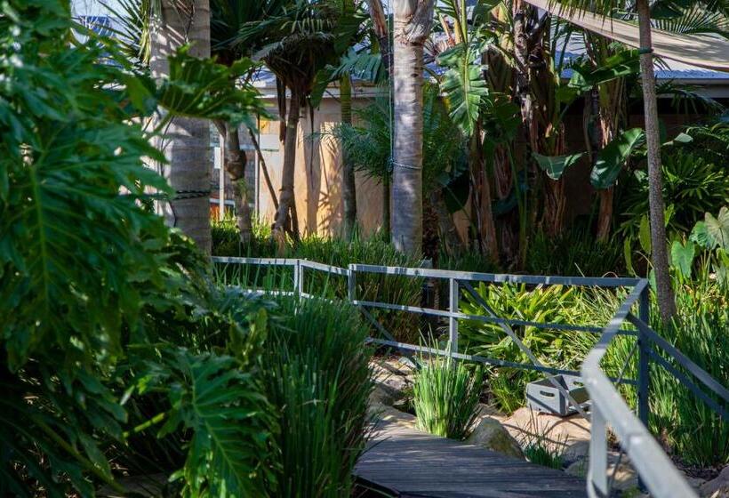 스탠다드 스튜디오, D Urbanmist Self Catering Guest House