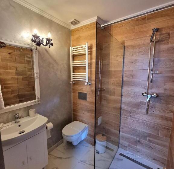 חדר סטודיו סטנדרד, Vila Central