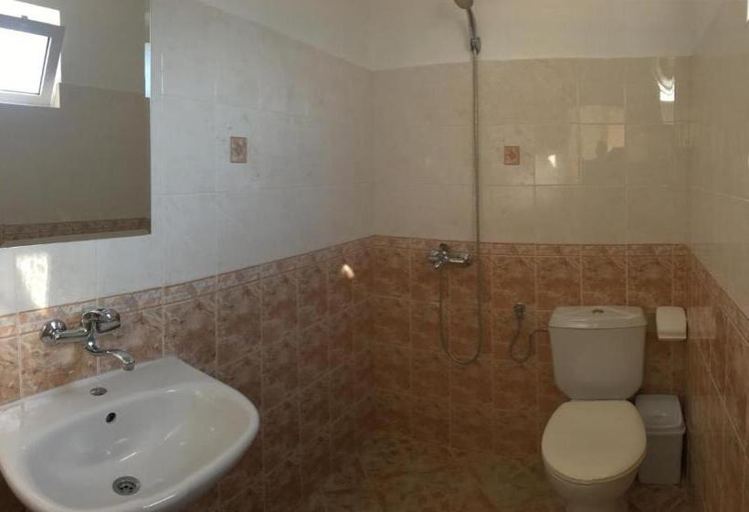 Номер Стандарт с Террасой, Eleonor Guest House