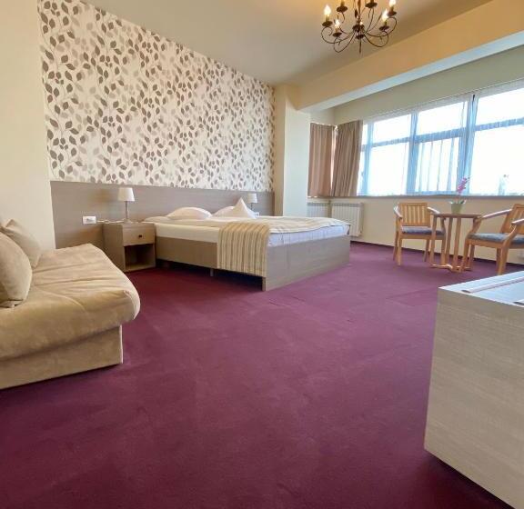 수피리어 룸, Pensiunea Rix Rooms