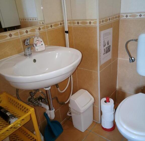 带共用浴室的标准房间, Budai Vám Apartmanház