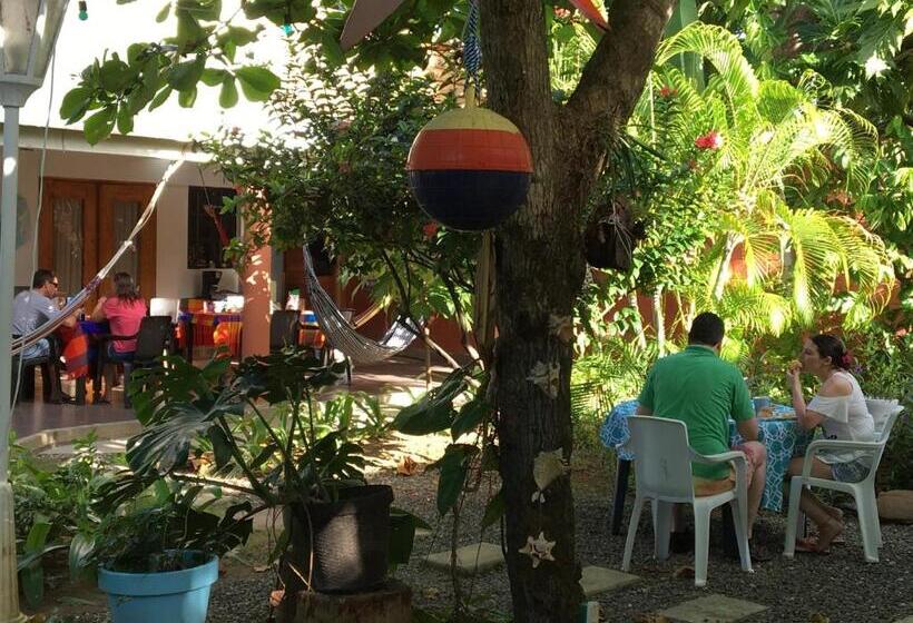 استودیو استاندارد با تراس, Hostal Casaluna San Andres