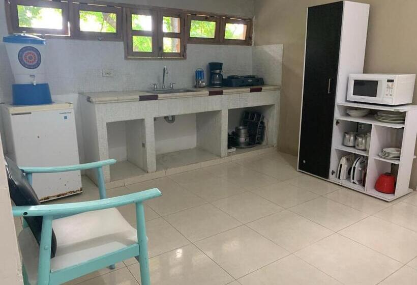 آپارتمان سوپریور 1 خوابه, Hostal Casaluna San Andres