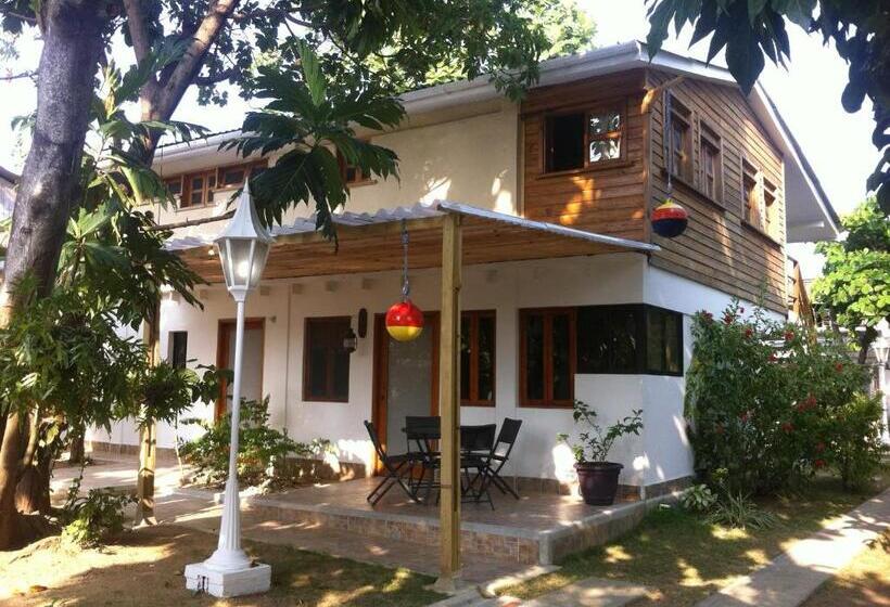 آپارتمان سوپریور 1 خوابه, Hostal Casaluna San Andres