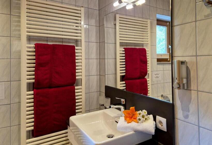 家庭间, Alpenpension Gastein