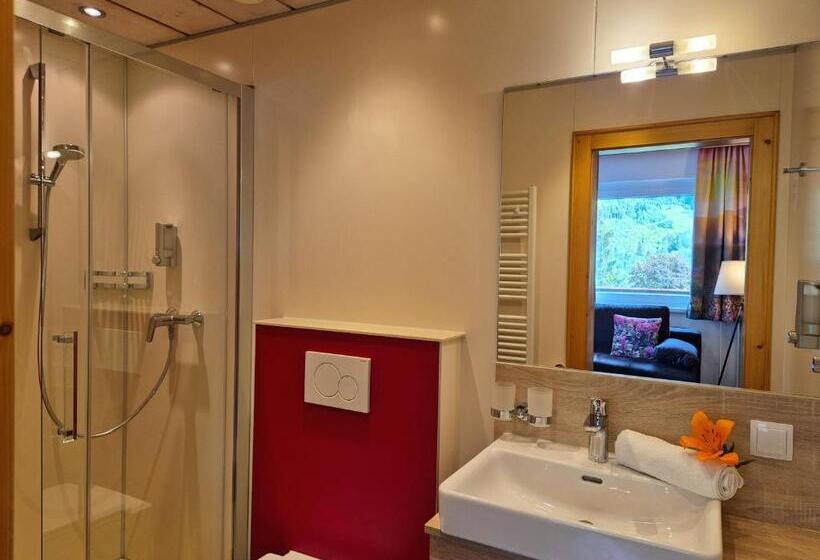 高级大房间, Alpenpension Gastein