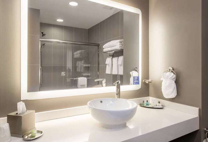 سوئیت با تخت بزرگ, Doubletree By Hilton Taipei Zhongshan