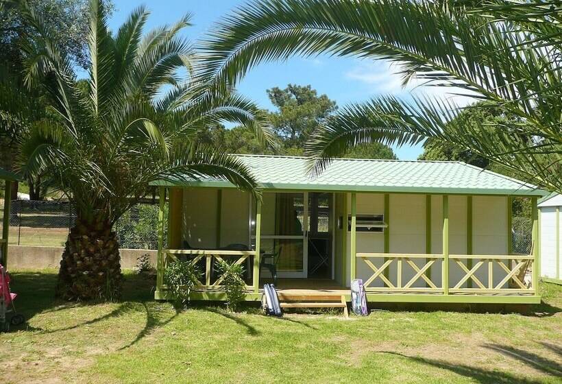 Дом 1 Спальня, Camping U Libecciu    Vacances Ulvf