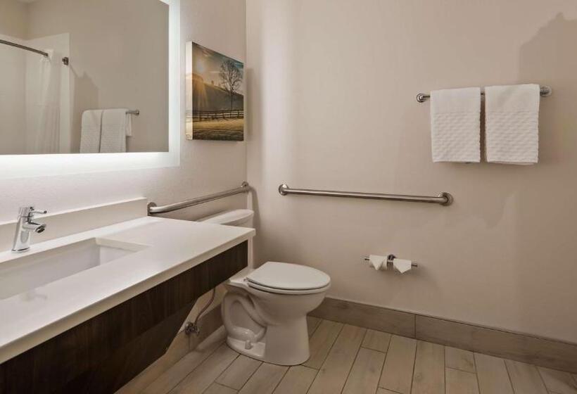 适合残疾人使用的标准间, Best Western Plus Elizabethtown Inn & Suites